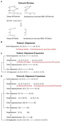 NAIGO: An Improved Method to Align PPI Networks Based on Gene Ontology and Graphlets